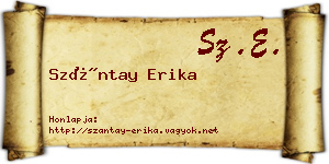 Szántay Erika névjegykártya